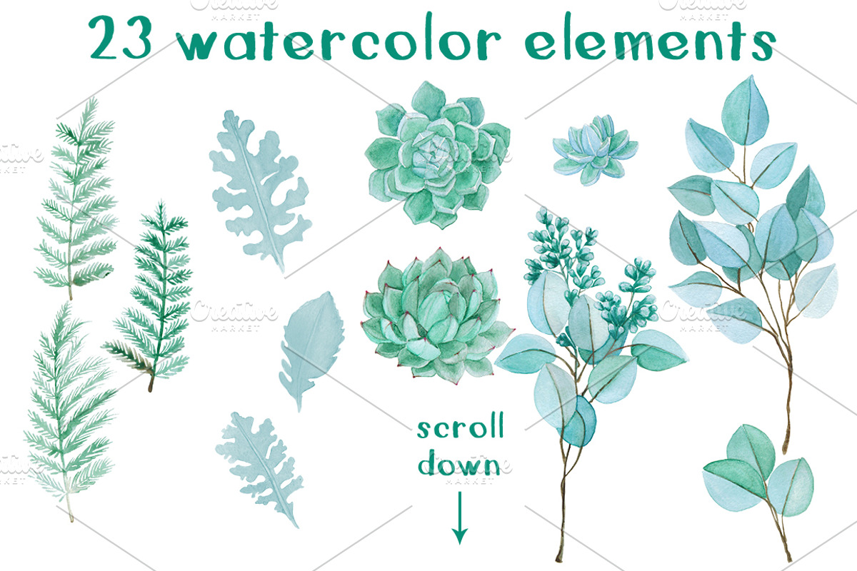 Wedding Watercolor Succulent Set, a Decorative Illustration by WBS Design (Photo 4 of 6)