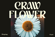 Croway, a Sans Serif Font by Zaloma Studio (Thumbnail 9 of 20)