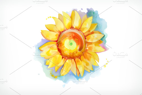 Sunflower Watercolor Painting Vector