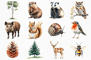 Watercolor Woodland Life Clipart, an Illustration by Craft Nest (Thumbnail 2 of 6)