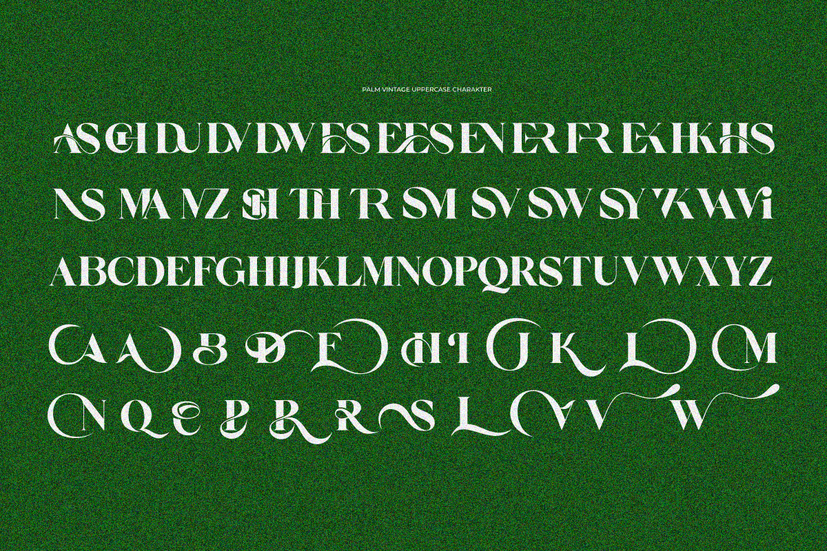 Palm Vintage, a Serif Font by zaaintype (Photo 9 of 11)