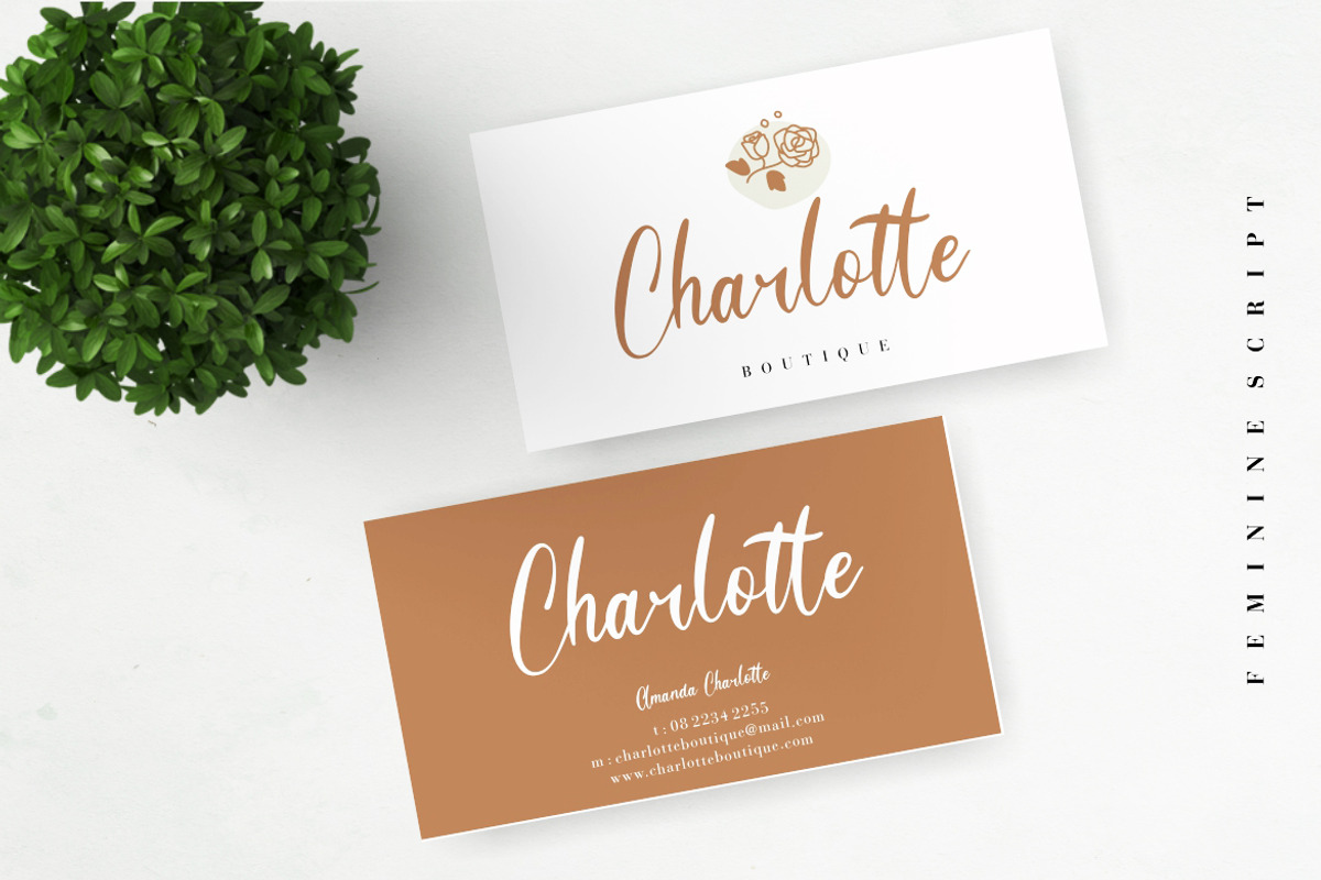 Hanessy Business Font preview 3