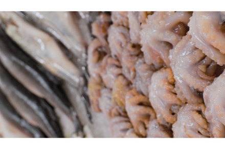 many Raw fresh octopus on ice in, a Food & Drink Photo by Our Amazing World