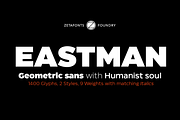 Eastman - 42 fonts, a Sans Serif Font by Zetafonts (Thumbnail 1 of 12)