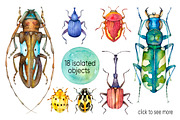 Beetles Watercolor collection, a Graphic by Green_leaf_17 (Thumbnail 2 of 5)