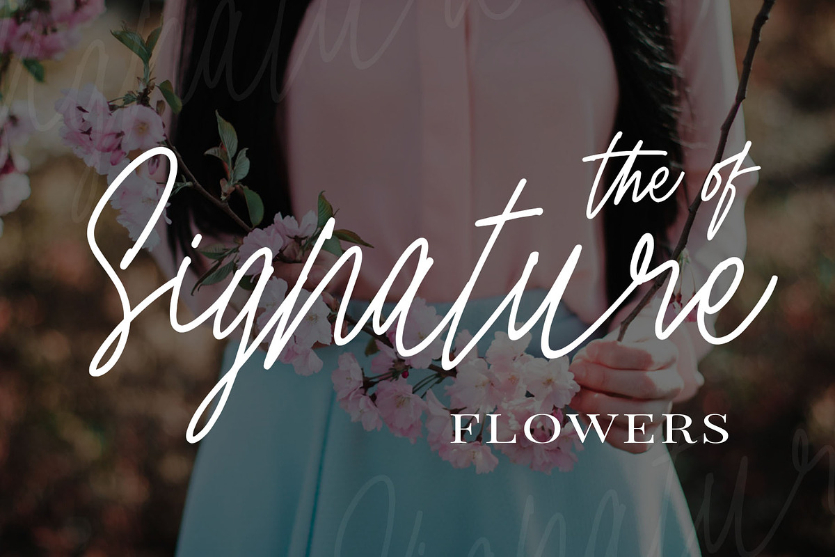 Cherry Blossom preview 2
