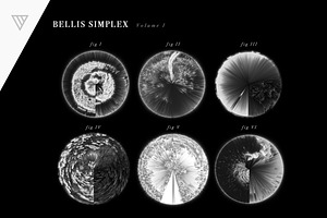 Bellis Simplex
