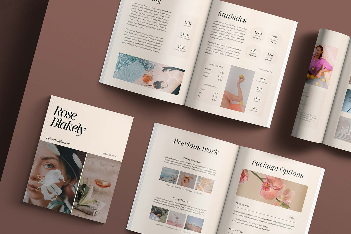 LEMONADE | Media Kit Canva Template, a Print Template by Sierra Creative Studio (Photo 2 of 10)