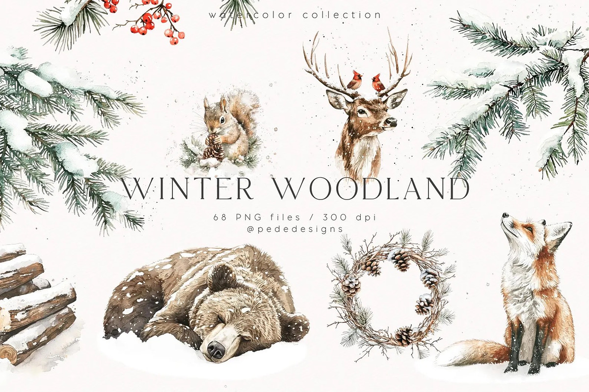Winter Woodland, an Animal Illustration by PeDe Designs (Photo 1 of 8)