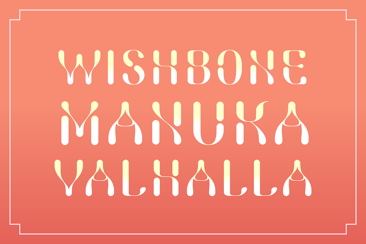 Firefly Elegant Display Font, a Sans Serif Font by SelfBuild Type (Photo 2 of 7)