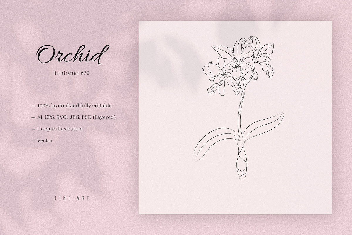 Orchid #26. Line Art Illustration, a Decorative Illustration by lapi-olesya (Photo 1 of 3)