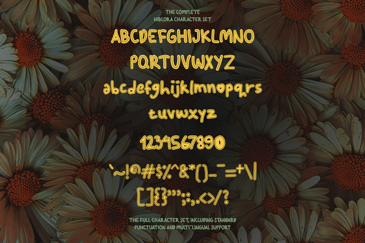 Niblora Playful Display Font, a Handwritten Font by mesuka (Photo 5 of 5)