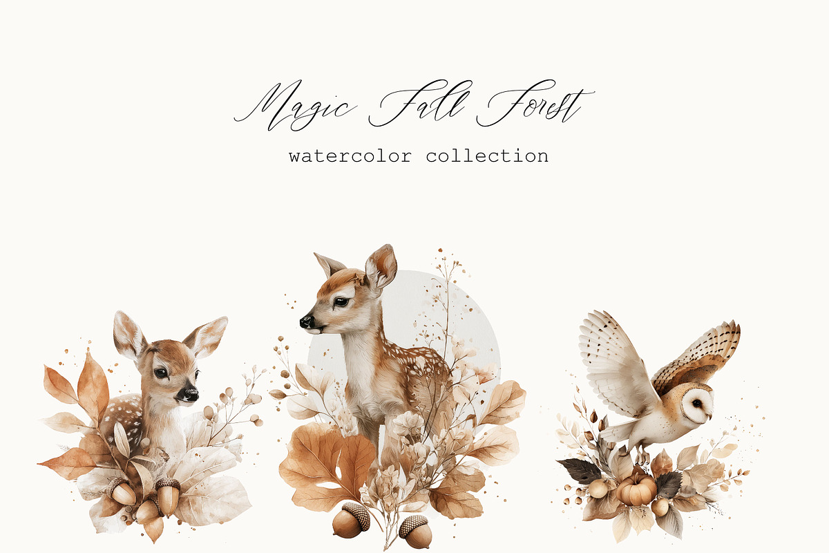 Watercolor Forest Animals, an Animal Illustration by Anna Sokol (Photo 3 of 10)