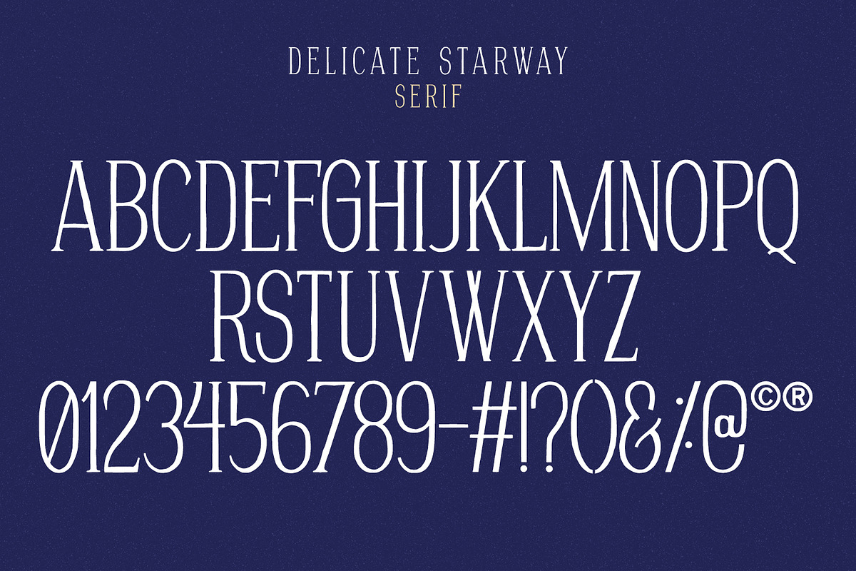 Delicate Starway, a Serif Font by Nathatype (Photo 5 of 11)