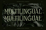 Celliqath Modern Display, a Serif Font by Storytype Studio (Thumbnail 12 of 15)