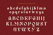 Mofaged - Serif Typeface Font, a Serif Font by Rishsketch (Thumbnail 11 of 15)