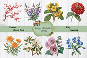 70 Flower Clipart Images, a Decorative Illustration by Paper Addiction Prints (Thumbnail 4 of 10)