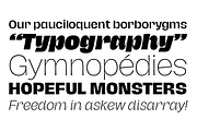 Hagrid 24 fonts + 4 variables, a Sans Serif Font by Zetafonts (Thumbnail 3 of 17)