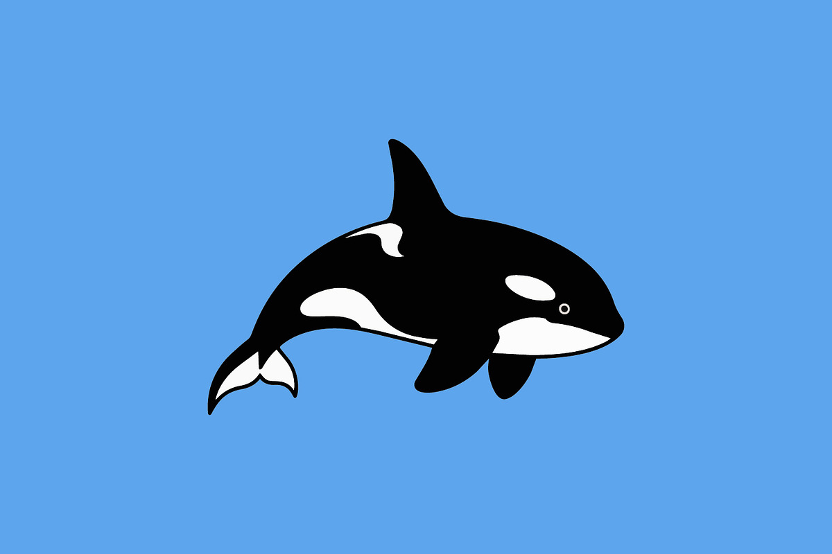 Orca in clean flat vector style, an Animal Illustration by Pray Art Design Studio (Photo 2 of 3)