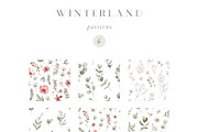 Watercolor Winter. Christmas florals, an Illustration by Kreker Kate (Thumbnail 8 of 10)