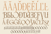 Rosevine – Latin Extended Version, a Serif Font by Hakara Type (Thumbnail 6 of 10)