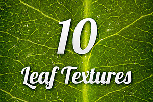 Leaf Textures Pack 1