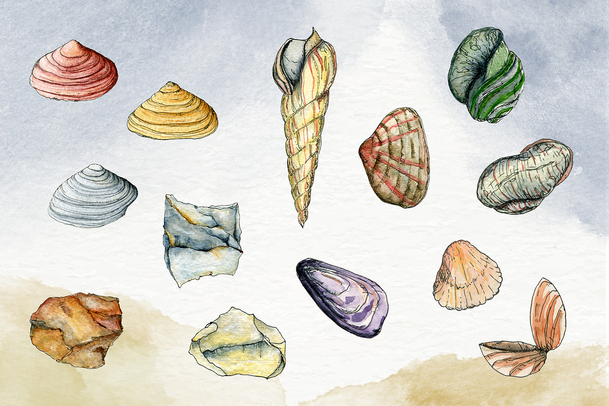 Beach Party Watercolor Set, a Texture Illustration by paperlions (Photo 2 of 6)
