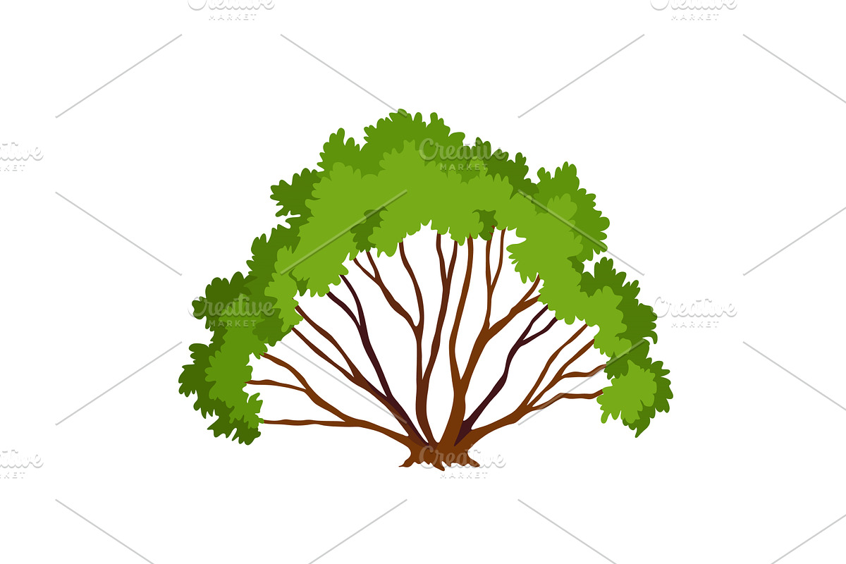 Kind of bush icon. Deciduous, an Object Illustration by Things for designers