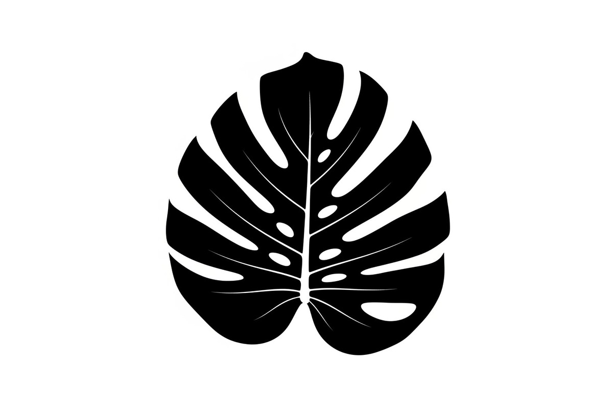 Monstera Leaf Silhouette Bundle, an Illustration by yasushie (Photo 15 of 31)