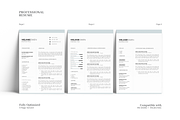 Customizable 5 Page Resume Template, a Resume Template by GraphicFlava (Thumbnail 3 of 8)