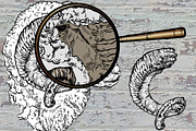 Hand drawn Ram, an Animal Illustration by ArtOwl (Thumbnail 3 of 5)