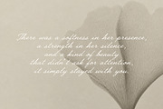 Still Romantic - Font Trio, a Script Font by Davide Bassu (Thumbnail 14 of 14)