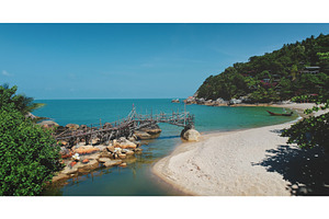 Wooden bridge crossing tropical