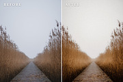 Dreamy Lightroom Presets, a Preset Add-On by Rapita Photography© (Thumbnail 10 of 10)