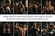 Male Fitness Stock Photo Gym Workout, a Sports & Recreation Photo by Selenique Studio (Thumbnail 2 of 11)