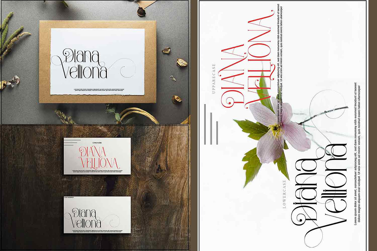 Marons and Glance, a Serif Font by Bramcreative (Photo 9 of 10)