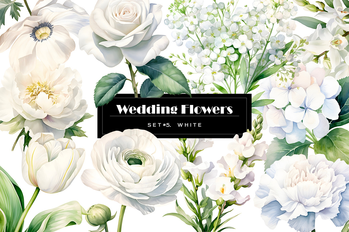 Watercolor white wedding flowers set, an Object Illustration by Art and Funny (Photo 1 of 3)