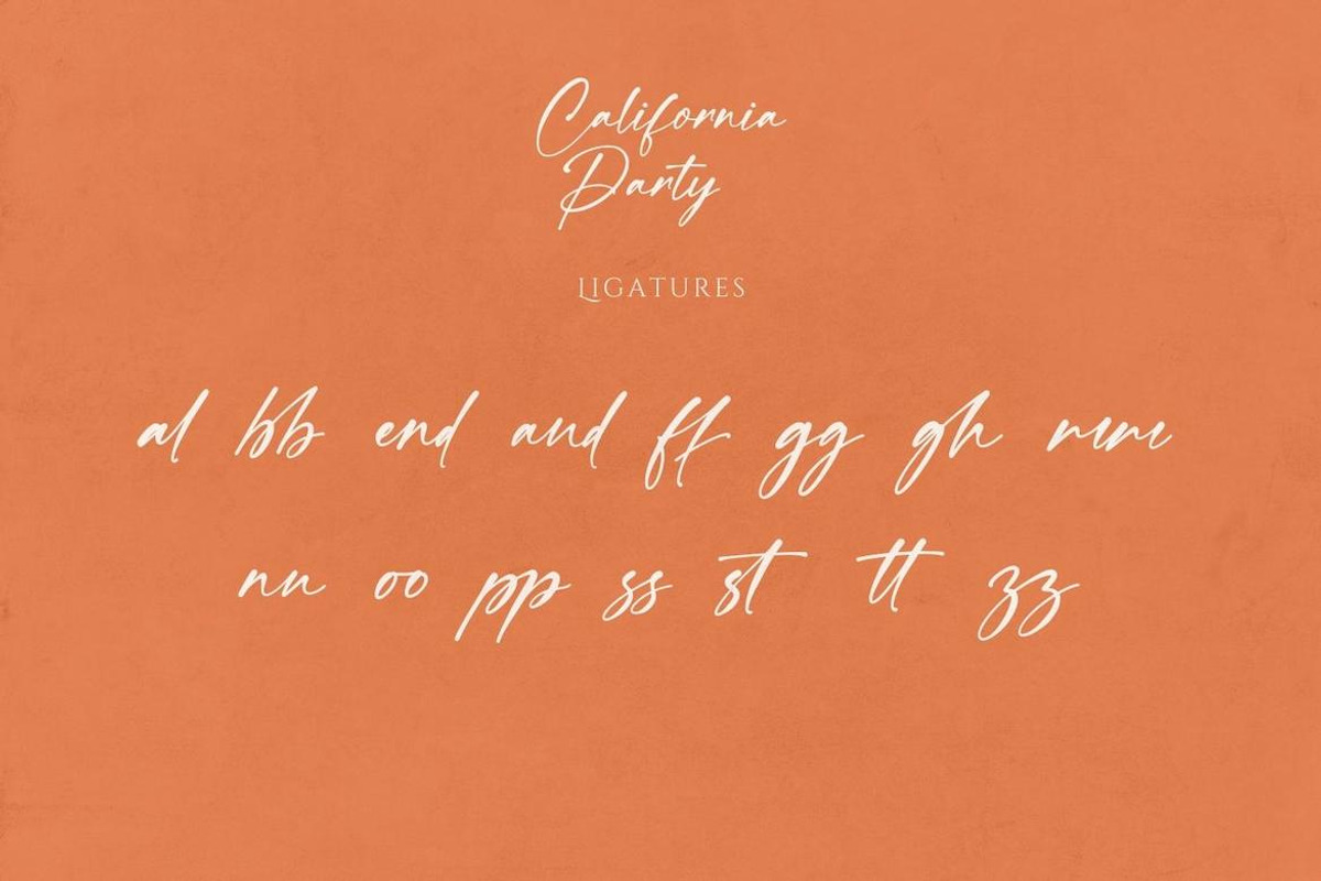 California Party, a Handwritten Font by CreateBigSupply (Photo 8 of 10)