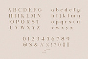 Ayilka - Elegant Display Serif, a Serif Font by BrandSemut (Thumbnail 8 of 9)