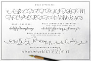 Southfall Script Font, a Script Font by Creativeqube Design (Thumbnail 10 of 14)
