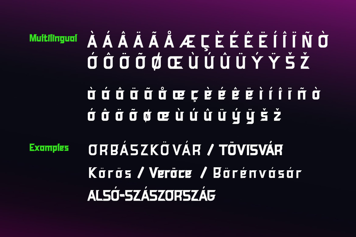 Herina, a Sans Serif Font by twinstd (Photo 10 of 11)