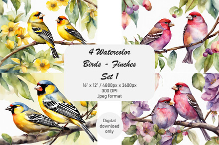 Watercolor Finches, Birds Set 1