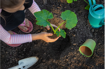 The child is planting a plant in the, a Nature Photo by yanadjana