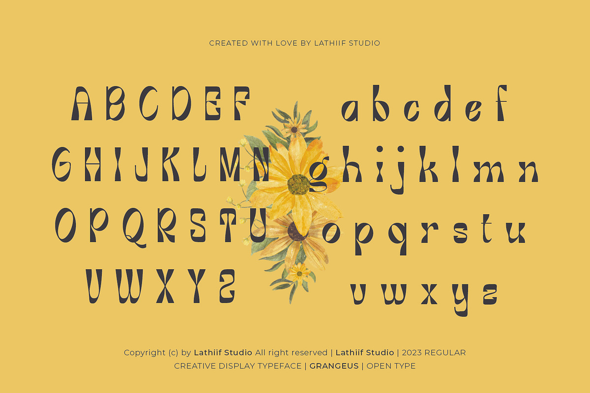 Grangeus - Creative Display Font, a Handwritten Font by Zeatype (Photo 4 of 11)