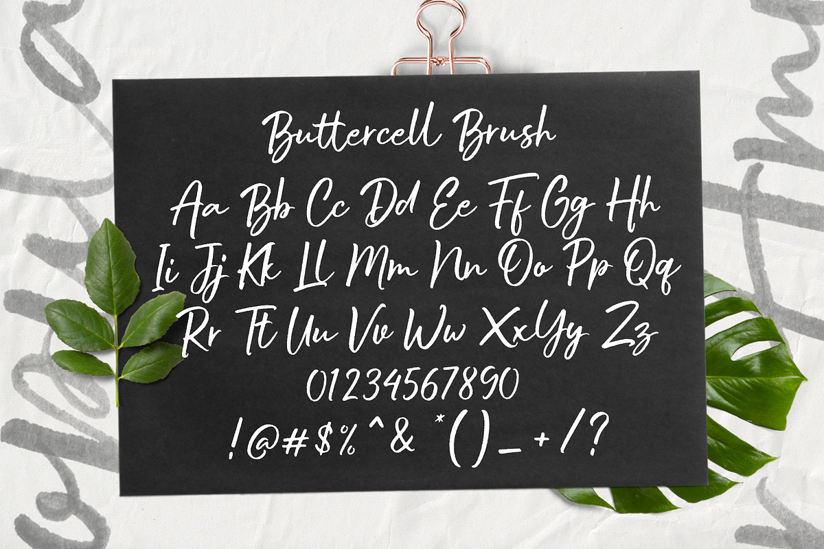 Buttercell SVG Brush Font, a Script Font by Wacaksara Co. (Photo 12 of 12)