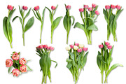 Scene Creator Colorful Spring&Easter, a Product Mockup by Anna_Zubkova (Thumbnail 7 of 7)