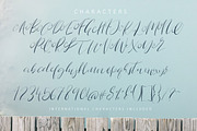 Route Nine Script Font, a Script Font by Creativeqube Design (Thumbnail 4 of 4)