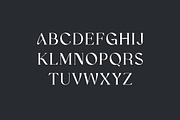 Behowled Classic Modern Serif Font, a Serif Font by UICreative (Thumbnail 5 of 13)