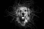 Pencil Scribble Art Photoshop Action, an Action Add-On by MRI STUDIO (Thumbnail 7 of 10)