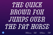 CS Bedford Disco, a Slab Serif Font by Craft Supply Co. (Thumbnail 7 of 8)